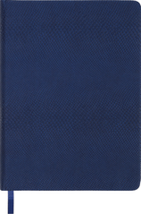 Щоденник недатований AMAZONIA, A5, 288 стор., синій, Синій