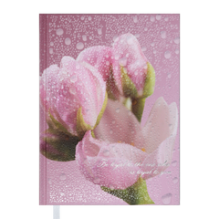 Щоденник недатований POSH, A5, рожевий