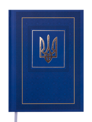 Щоденник недатований NATION, A5, синій, Синій