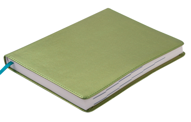 Щоденник недатований METALLIC, A5, 288 стор., зелений, Зелений