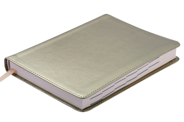 Щоденник недатований METALLIC, A6, 288 стор., золотий, Золотий