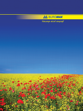 Книга обліку 96 аркКліт.оф.(тв. лам. обл), А4, Асорті