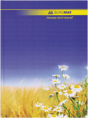 Книга канцелярська 96 арк лін.,оф.(тв. лам. обл), А4, Асорті