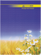 Книга канцелярська 96 арк лін.,оф.(тв. лам. обл), А4, Асорті