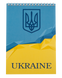 Блокнот на пружині зверху UKRAINE, А-5, 48л., клітка, картонна обкладинка, блакитний, Блакитний