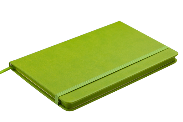 Блокнот діловий PROFY LOGO2U 125x195мм, 80арк., клітинка, обкладинка зі штучної шкіри, салатовий, Зелений