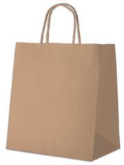 Пакет з ручками "Ecobag", 305*170*340, коричневий, Коричневий